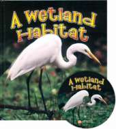 A Wetland Habitat