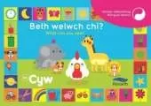 Beth Welwch Chi? What Can You See? Cyw