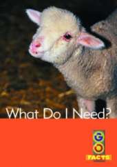 What Do I Need
