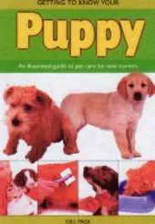 Getting to Know Your Puppy