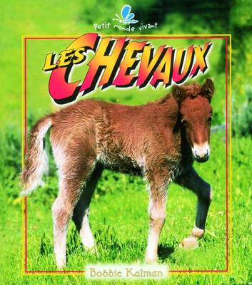 Les Chevaux
