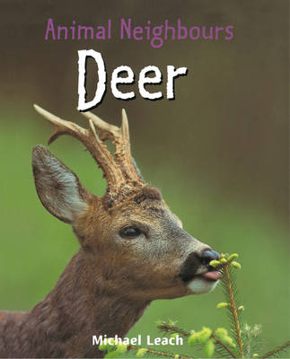 Animal Neighbours: Deer