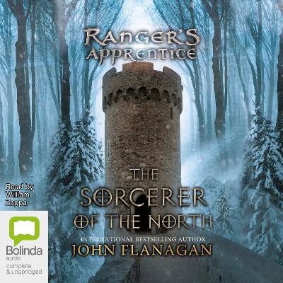 The Sorcerer In The North