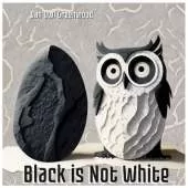 Black is Not White: Rosie's Stand for Truth: Rosie the Brave: The Tale of a Courageous Rabbit