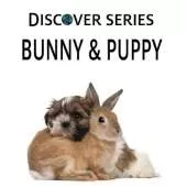 Bunny & Puppy