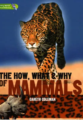 Literacy World Satellites Non Fiction Stage 3 Guided Reading Cards: The How, What and Why of Mammals Framework 6 Pack