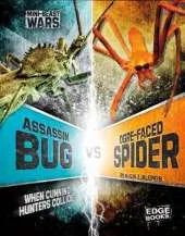 Assassin Bug vs Ogre-Faced Spider: When Cunning Hunters Collide