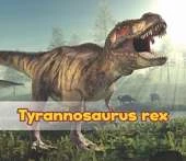 All About Dinosaurs Pack A of 6
