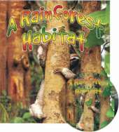 A Rainforest Habitat