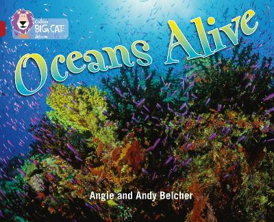 Oceans Alive: Band 14/Ruby