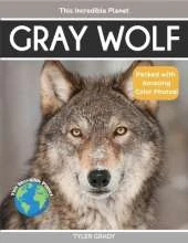 Gray Wolf: Fascinating Animal Facts for Kids