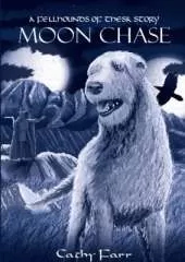 Moon Chase