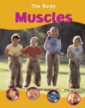 The BODY THE MUSCLES