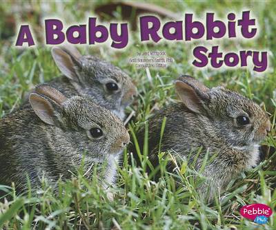 Baby Rabbit Story