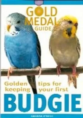 Budgie
