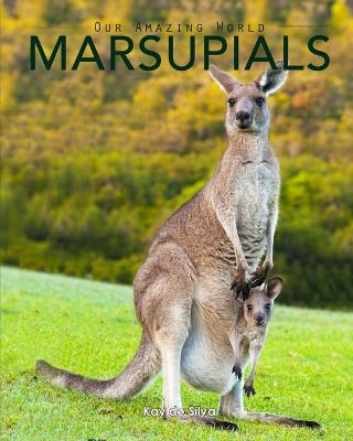 Marsupials: Amazing Pictures & Fun Facts of Animals in Nature