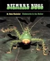 Bizarre Bugs