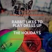 Rabbit Likes to Dress Up - The Holidays