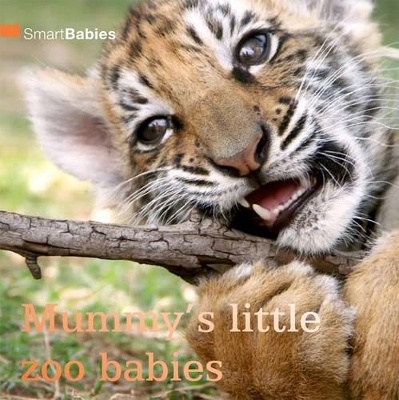 Smart Babies: Mummy's Little Zoo Babies