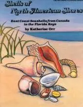 Shells of North American Shores