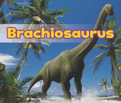All About Dinosaurs Pack A of 6