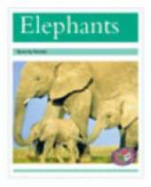 Elephants