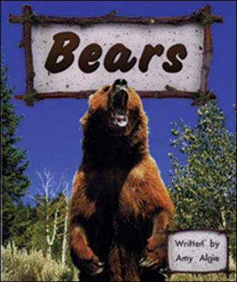 Bears