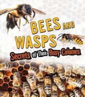 Bees and Wasps: Secrets of Their Busy Colonies