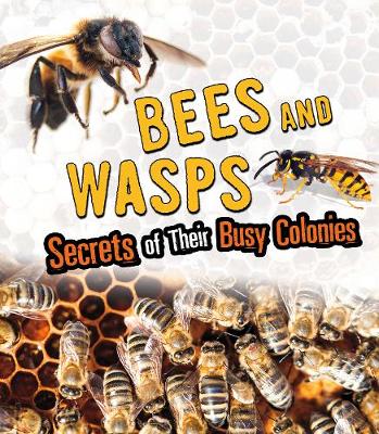 Bees and Wasps: Secrets of Their Busy Colonies