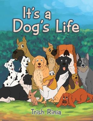 It's a Dog's Life