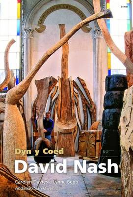 David Nash - Dyn Y Coed