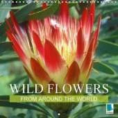 Wild Flowers from Around the World 2017: The Wild Siblings of Our Potted Friends