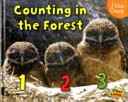 I Can Count!: Pack A of 4