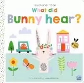 Touch and Trace – What did Bunny hear?