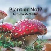 Plant or Not?