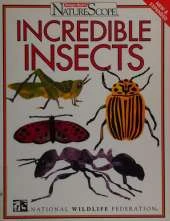 Incredible Insects