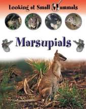 LOOKING AT SMALL MAMMALS MARSUPIALS