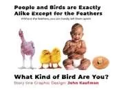 People And Birds Are Exactly Alike Except For The Feathers: What Kind of Bird Are You?