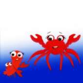 Crabs and Crawddies