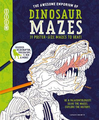 The Awesome Emporium of Dinosaur Mazes