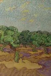 Vincent van Gogh's Olive Trees Field Journal Notebook, 50 pages/25 sheets, 4x6
