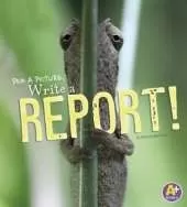 Write a Report!