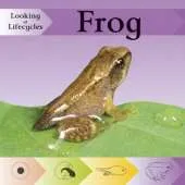 Looking at Lifecycles: Frog