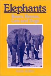 Elephants, Bears, Horses, Cats and Dogs