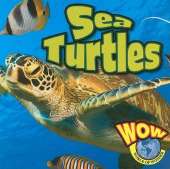 Sea Turtles