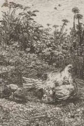 Chickens 4x6" Field Journal / Field Notebook / Field Book / Memo Book / Pocket Notebook (50 pages/25 sheets)