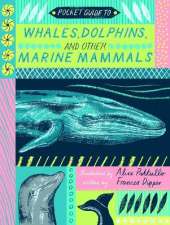 Pocket Guide to Whales, Dolphins, and Other Marine Mammals
