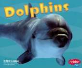 Dolphins