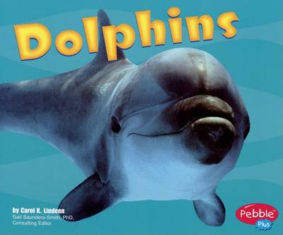 Dolphins