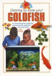 Getting To Know Your Goldfish